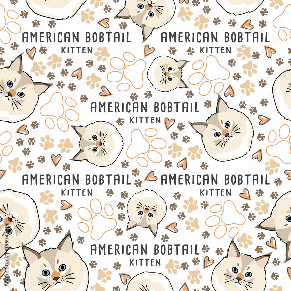Plakat Kolekcja rasy Cat: Seamless Pattern: Vector Illustration