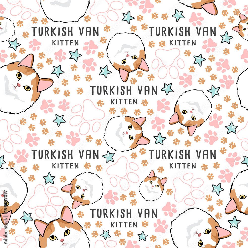 Cat Breed Collection : Seamless Pattern : Vector Illustration