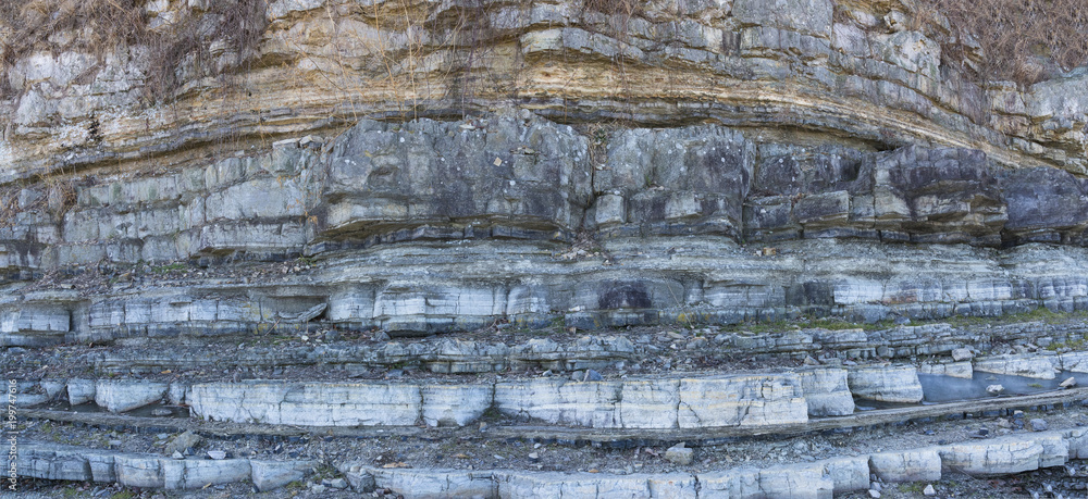 지층과 공룡화석 Stock 사진 | Adobe Stock