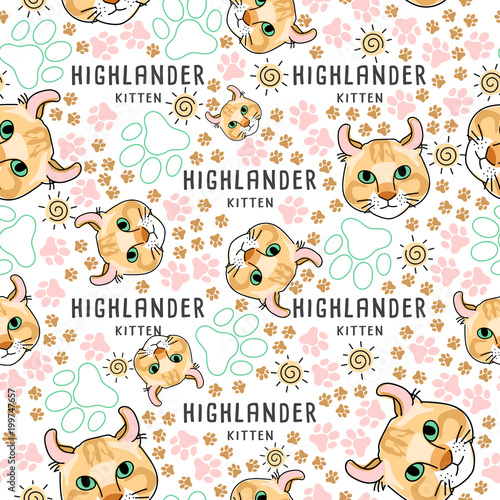Fotografie Cat Breed Collection : Seamless Pattern : Vector Illustration