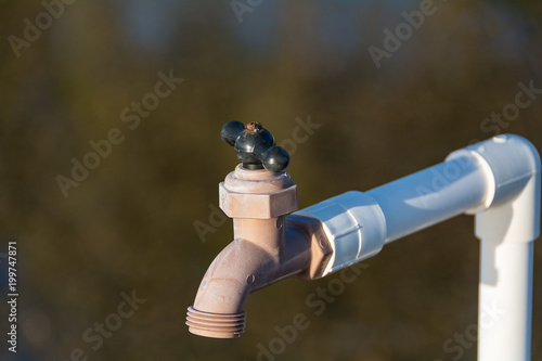 Water Spout Plastic