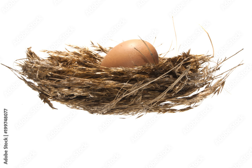 egg isolated on white background egg isolated on white background