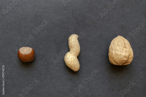 Peanut, Hazelnut and Walnut with Nutshells Placed on Black Background Surface