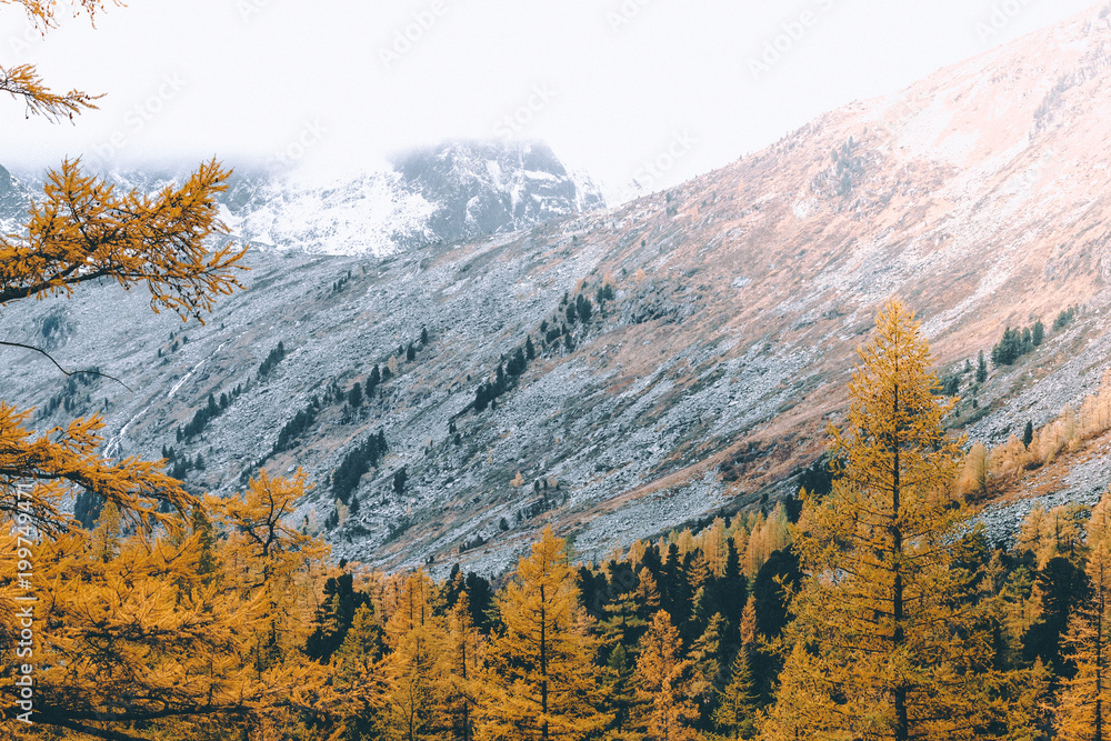 image to crop