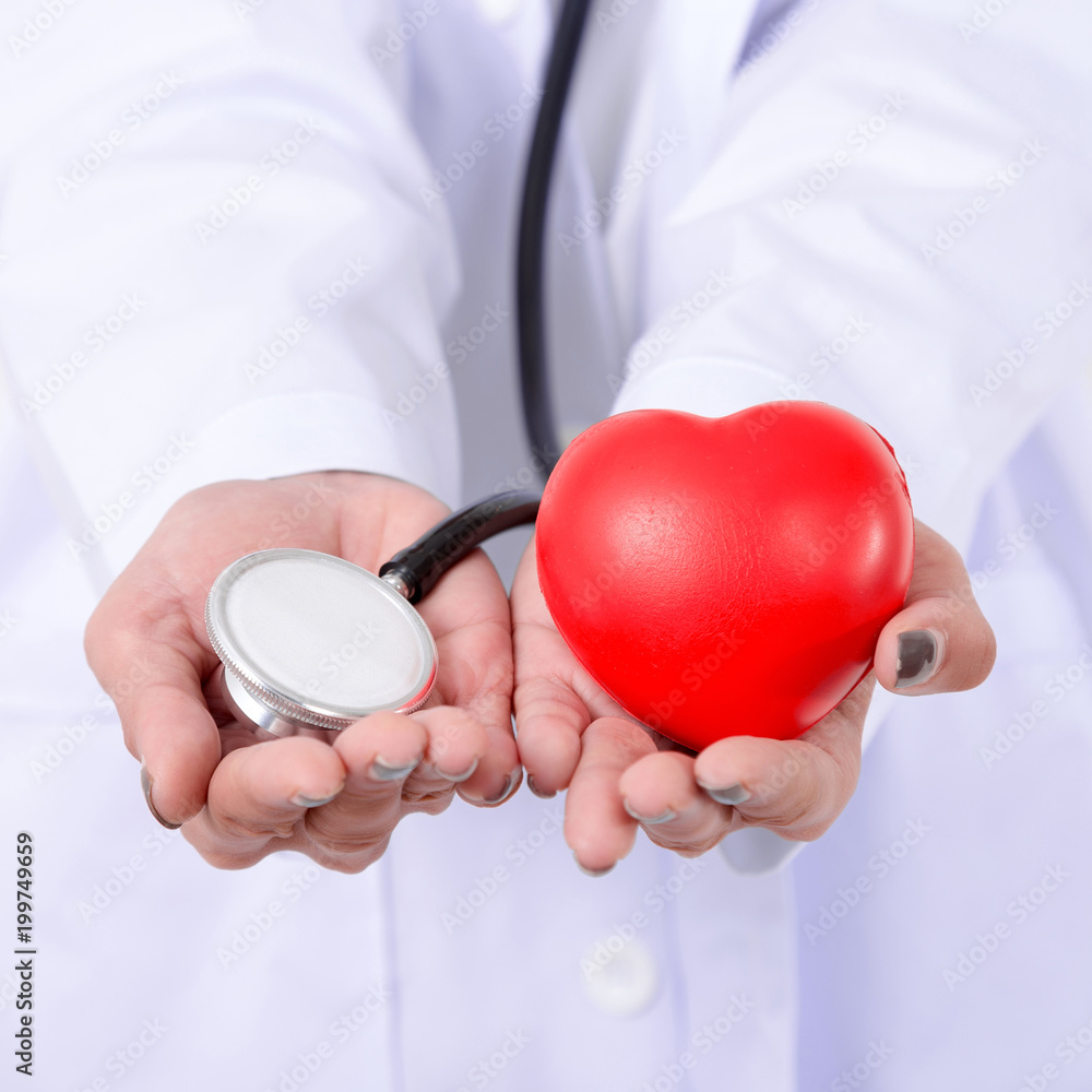 Close up doctor holding the red heart and stethoscope. Isolated on white background. Studio lighting. Concept for healthy Close up doctor holding the red heart and stethoscope. Isolated on white background. Studio lighting. Concept for healthy