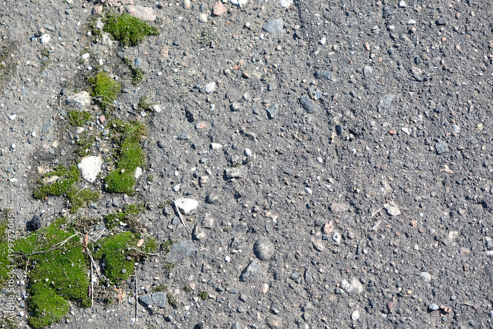old asphalt road with green moss. abstract textured background old asphalt road with green moss. abstract textured background