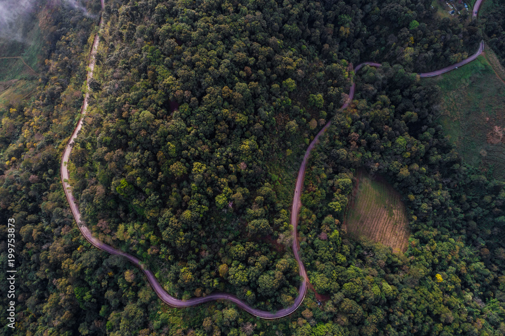 Beautiful rural road on the deep forest mountain green tree background Beautiful rural road on the deep forest mountain green tree background