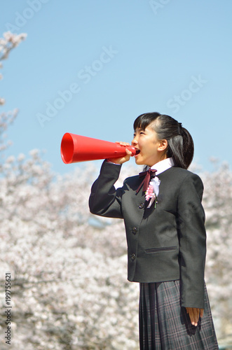 中学一年生の女の子 桜 入学 メガホン Stock Photo Adobe Stock