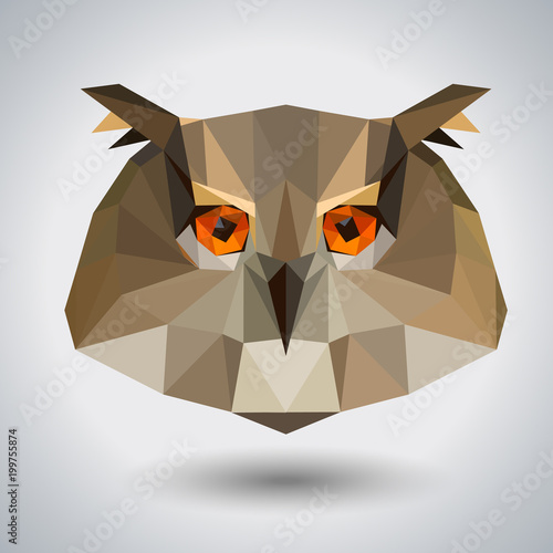 Abstract polygonal tirangle animal owl. Hipster animal illustration. photo