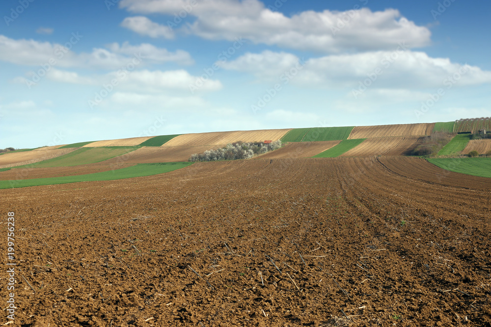 farmland plowed field landscape agriculture