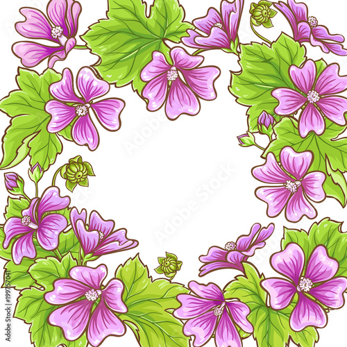malva vector frame