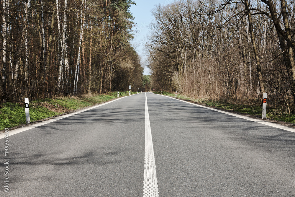 straight asphalt road in the middle of a forest, under a blue sky