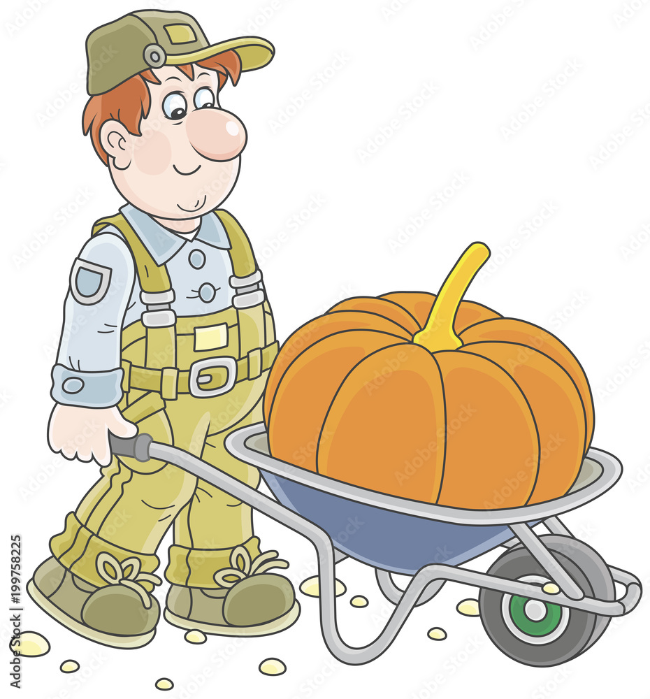 Fototapeta premium Smiling gardener carrying a big orange pumpkin in his barrow