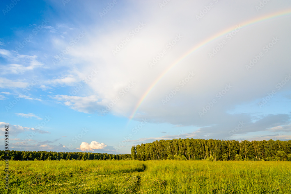 Naklejka premium Summer landscape with the rainbow over the forest
