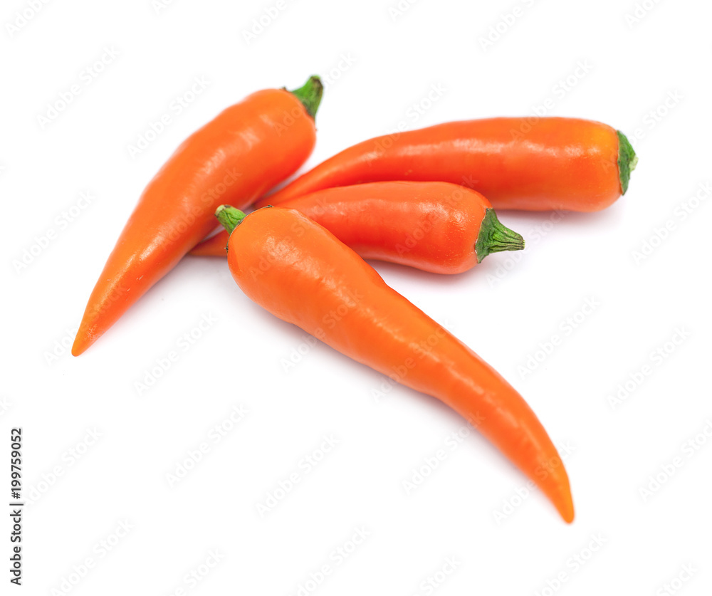 bird chili isolated on white background bird chili isolated on white background