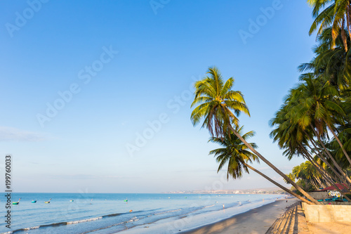 Tropical beach and coconut palms  Vietnam  Muine