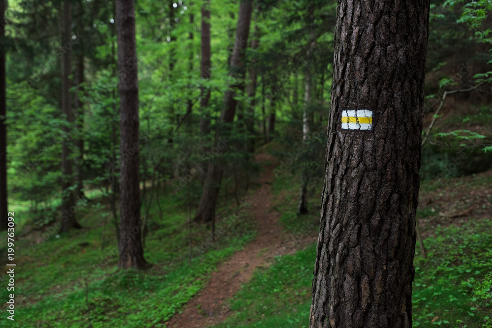 Yellow sign of a tourist trail on the tree in the middle of the forest Yellow sign of a tourist trail on the tree in the middle of the forest