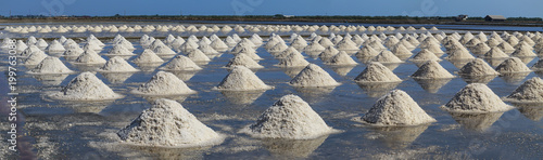 Konstfotografi Panorama view raw salt or pile of salt from sea water in evaporation; ponds at P