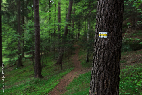 Yellow sign of a tourist trail on the tree in the middle of the forest