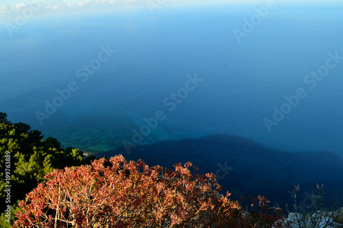 View of Palermo Gulf from Mount Pellegrino, Sicily, Italy