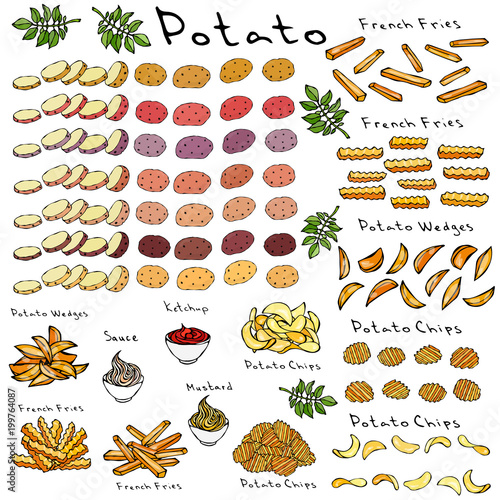 Fast Food Set. Varieties of Potatoes of Different Colors. Potato Slices and Nightshade Leaves. Potato Wedges, French Fries, Corrugated Potato Chips, Wave Chip, Ketchup, Mustard, Mayo in a Bowl.