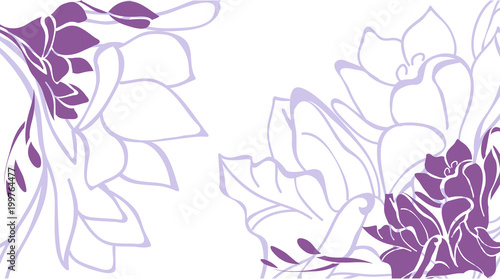 White background with purple peonies flowers.
