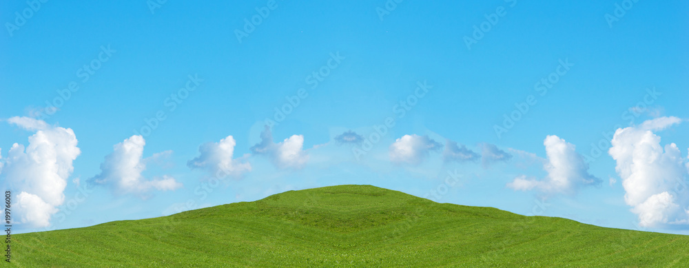 Obraz premium Green field and blue sky with clouds, panoramic view