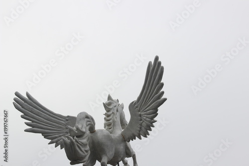 Flying Pegasus