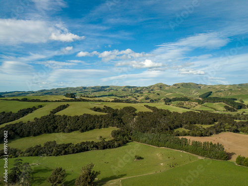 Farmlands And Vineyards Of new Zealand 
