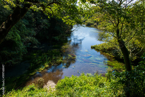 湧き水