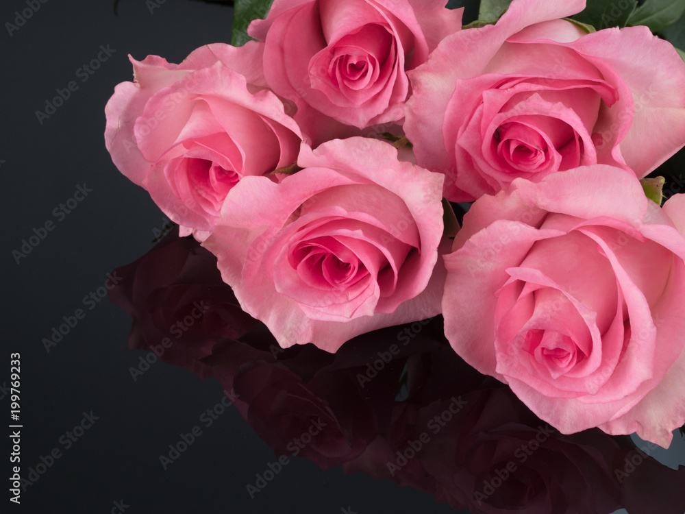 Fototapeta premium beautiful pink roses on black reflective background