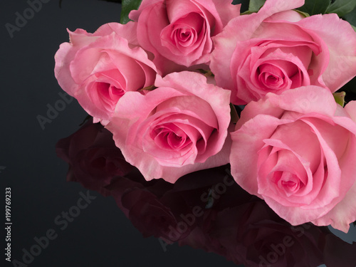 Wallpaper Mural beautiful pink roses on black reflective background Torontodigital.ca
