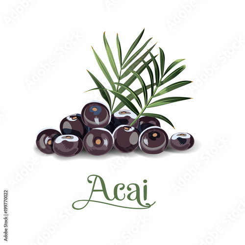 Acai berries for lables
