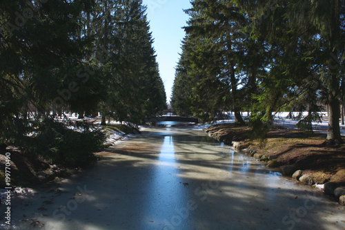 Spring ice on the channel under the water. Fir tree alley. Clear spring warm day. © Vasya Sun