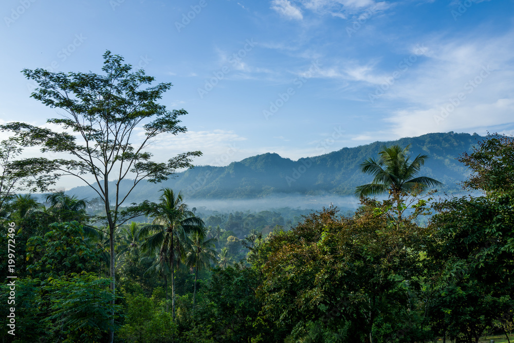 Nature in the Borobudur temple are aof Yogyakarta