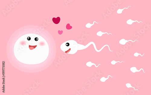 sperm and egg. vector illustration.