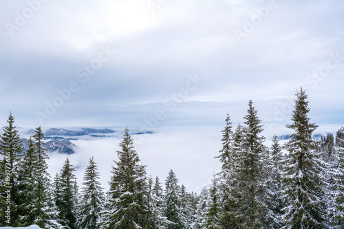 View from the mountain top Wallberg covered with snow on a cloudy day, Bavarian Alps, Bavaria, Germany
