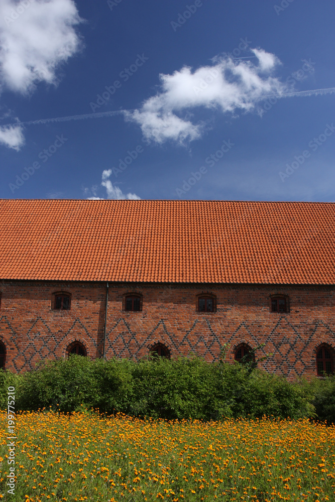  Vor Frue Monastery, a Carmelite monastery in Elsinore (Helsingør)