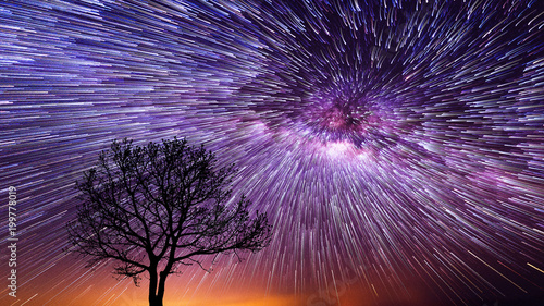 Photo Spiral Star Trails over silhouettes of trees, Night sky with vortex star trails
