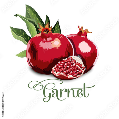 Fresh, nutritious, tasty garnet. Vector illustration.