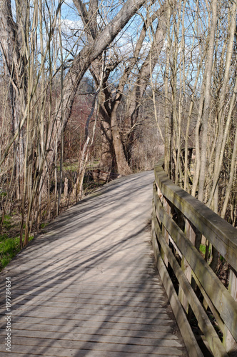 A wooden footpath in the spring in Frick Park  a city maintained park in Pittsburgh  Pennsylvania  