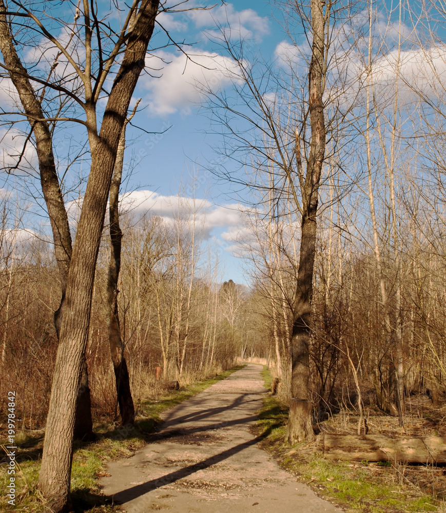 A path through Frick Park in Pittsburgh, Pennsylvania on a beautiful spring day A path through Frick Park in Pittsburgh, Pennsylvania on a beautiful spring day