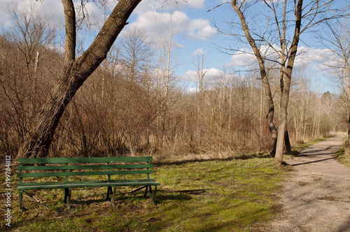 A bench next to a walking path in Frick Park in Pittsburgh, Pennsylvania in spring time