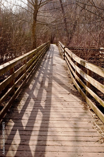 A wooden footpath in the spring in Frick Park  a city maintained park in Pittsburgh  Pennsylvania  