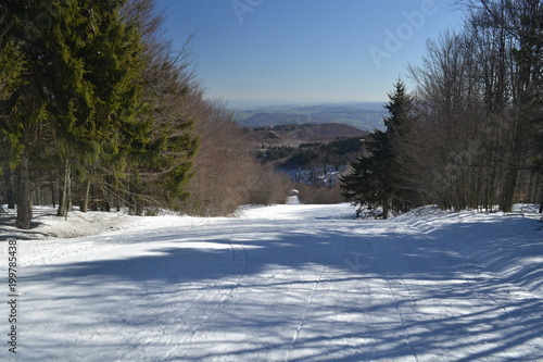 Fototapeta Naklejka Na Ścianę i Meble -  winter sports, skiing and snowboarding in italian mountain