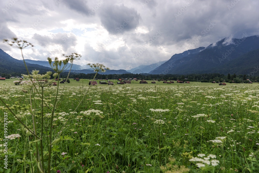 Alpine meadow with dramatic clouds and mountains in the background Alpine meadow with dramatic clouds and mountains in the background