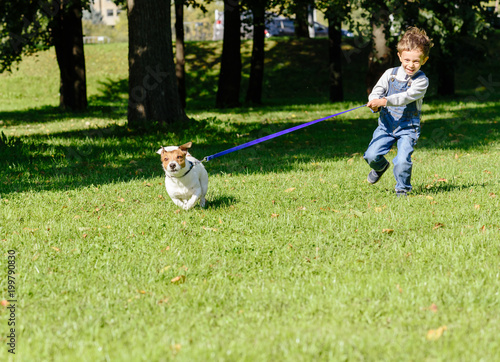Принти на полотні Pet dog drags little kid boy on strained leash
