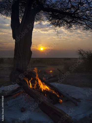 The Chobe National Park between Botswana and Namibia at sunset in Africa