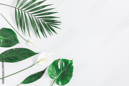 Summer tropical composition. Green tropical leaves and white flowers on gray background. Summer concept. Flat lay, top view, copy space