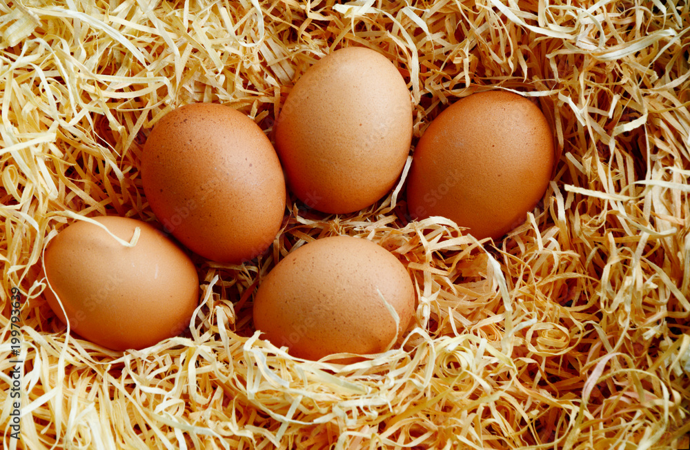 Many eggs in artificial straw with shadow Many eggs in artificial straw with shadow